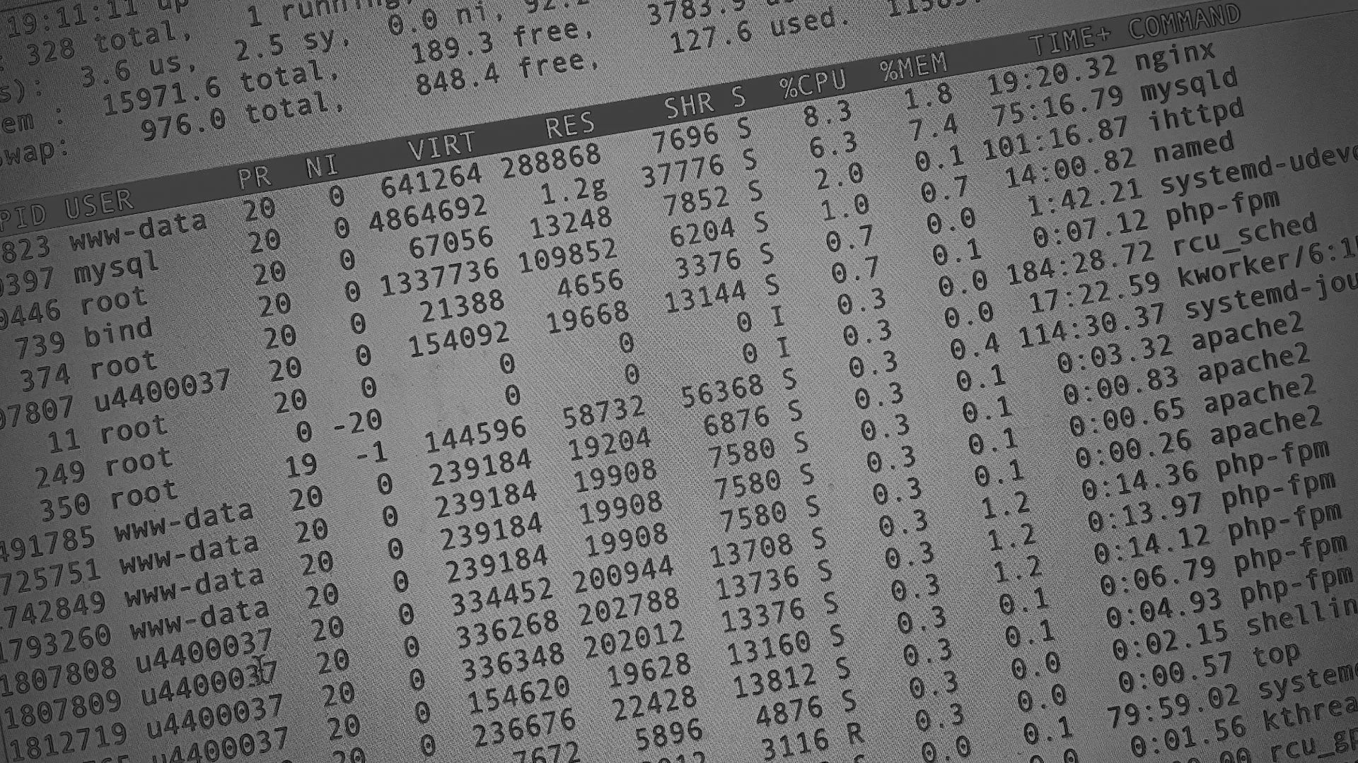 Настройка сервера в Коле