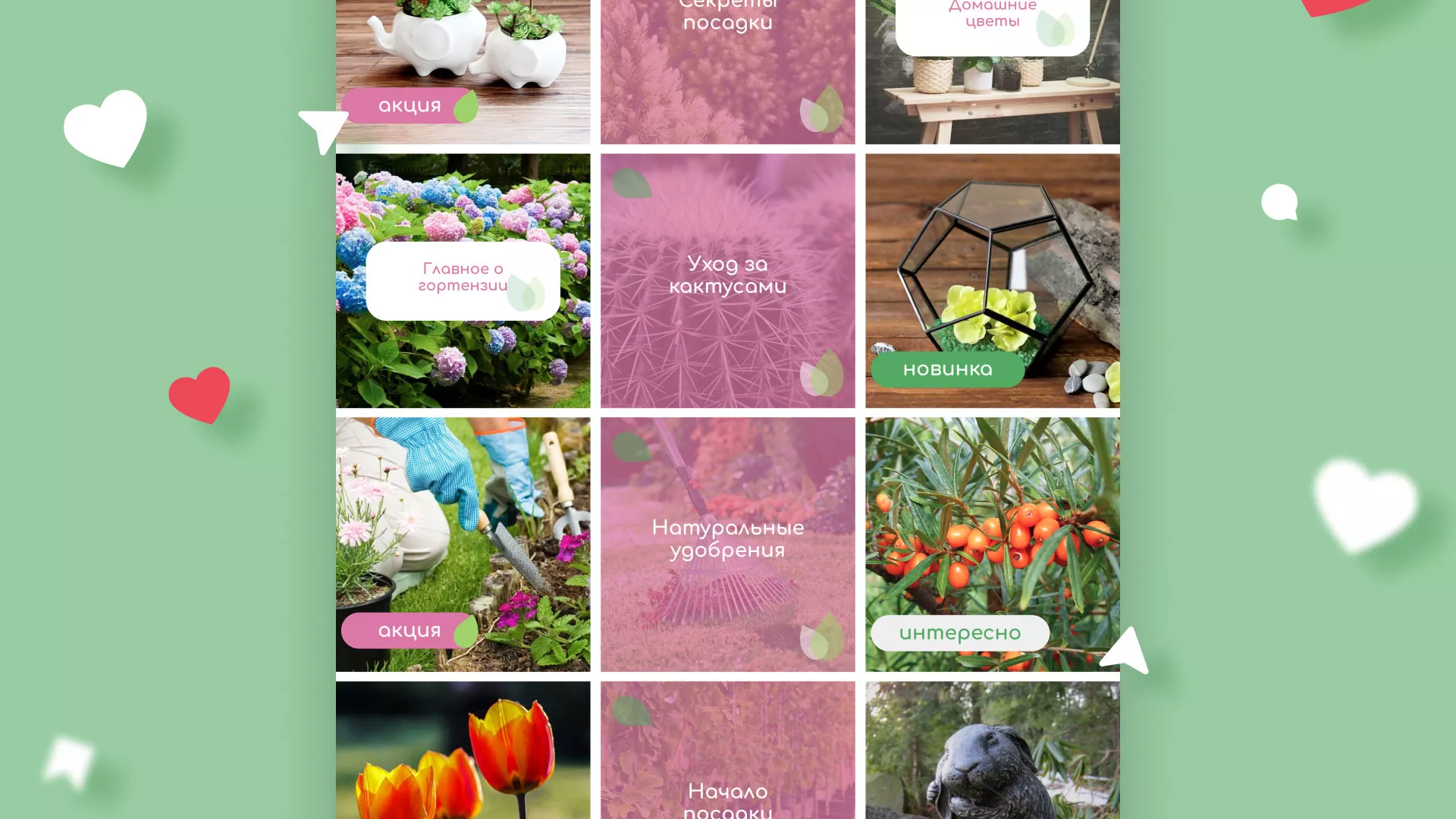 Разработка оформления профиля Instagram для магазина «Floraint» в Коле