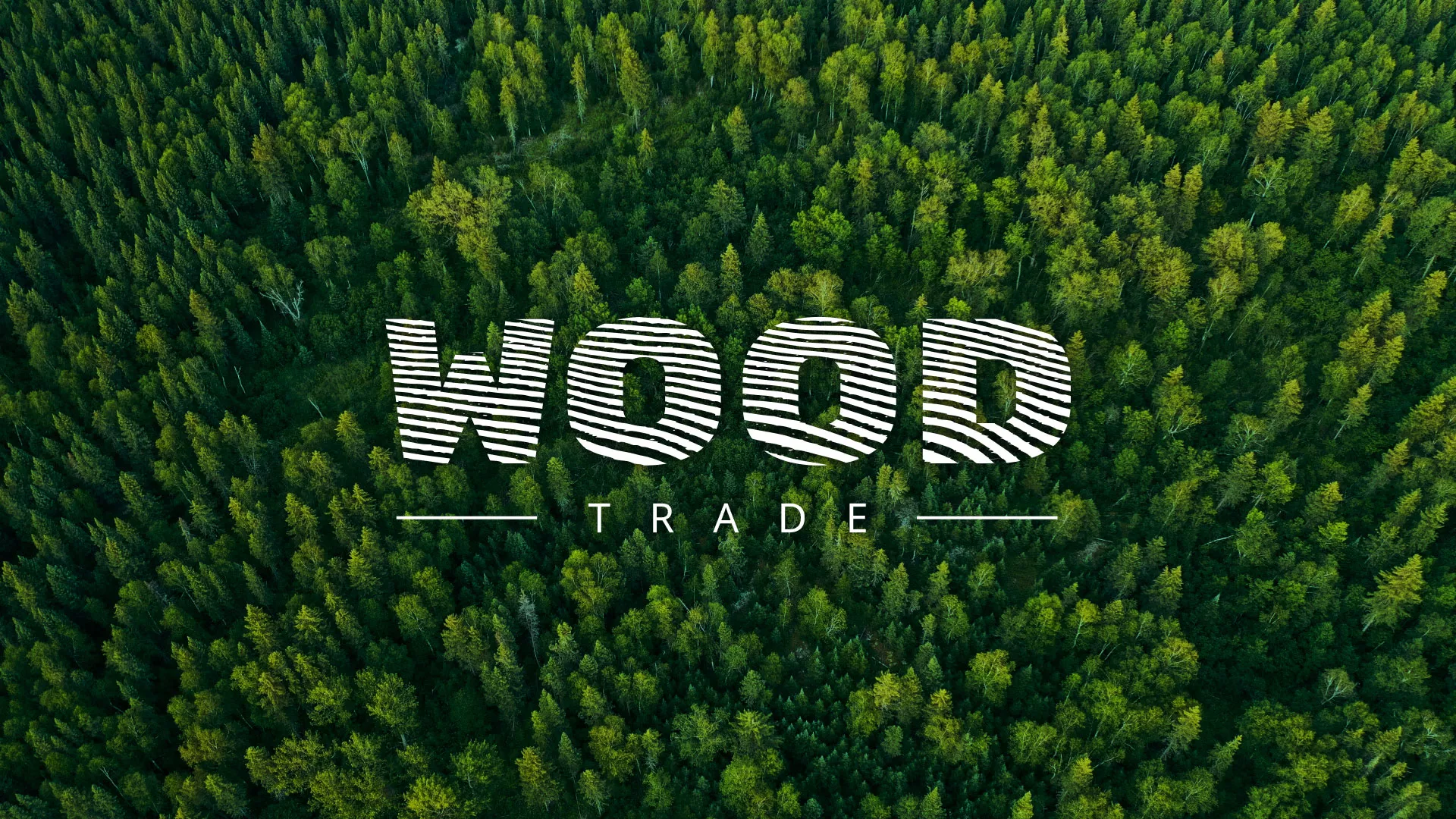 Разработка интернет-магазина компании «Wood Trade» в Коле