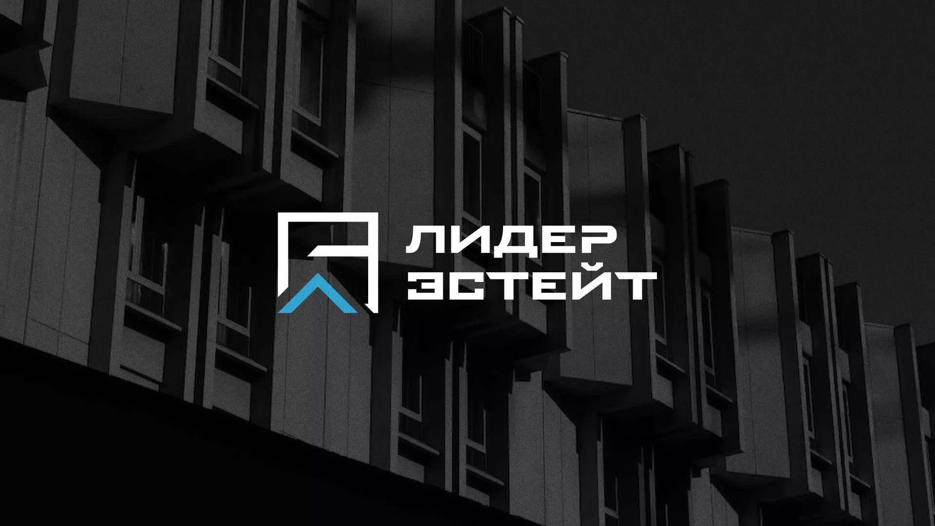 Разработка логотипа агентства недвижимости «Лидер Эстейт» в Коле